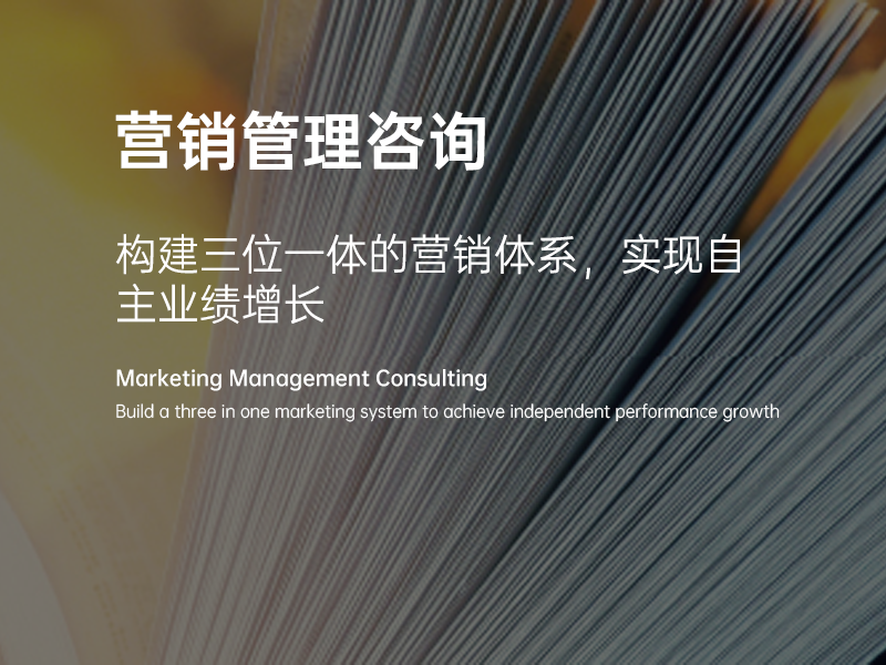 营销管理咨询